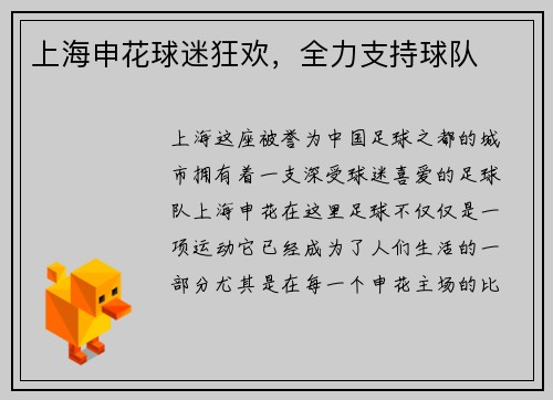 上海申花球迷狂欢，全力支持球队