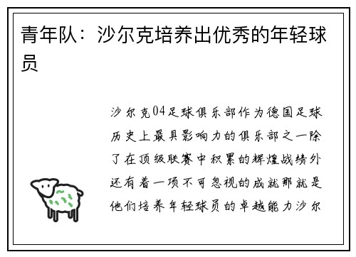 青年队：沙尔克培养出优秀的年轻球员